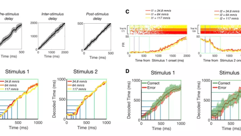 时间知觉全知道：它是什么，生活中有啥用？