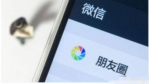 为什么朋友圈越来越冷清？揭秘用户消失的背后原因