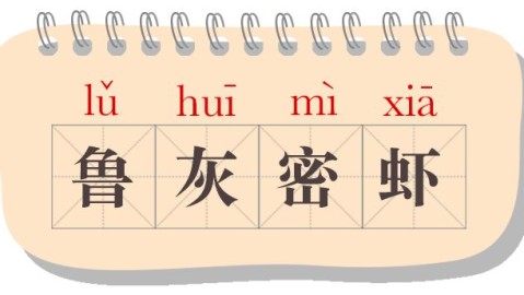 为什么一用“你”字，就感觉被评判了？语言背后的心理奥秘