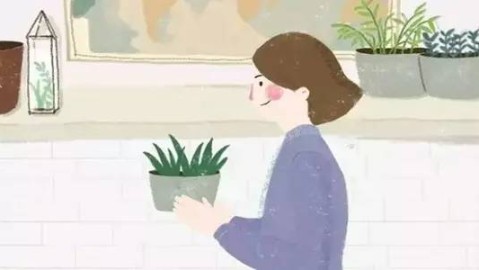 当人生想法爆棚时，如何高效规划你的未来？