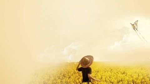 为什么我像独立于外界的存在？探讨“无情”性格的根源