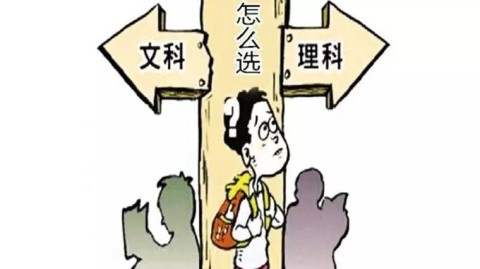 高一文理分科选择指南：如何破解选科迷茫找到方向