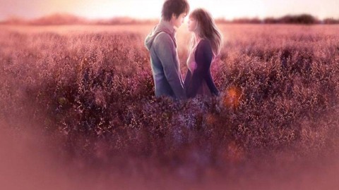 已婚男士的情感困境：如何继续生活？