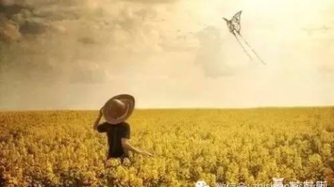 走出自卑牢笼：我的心理自救故事